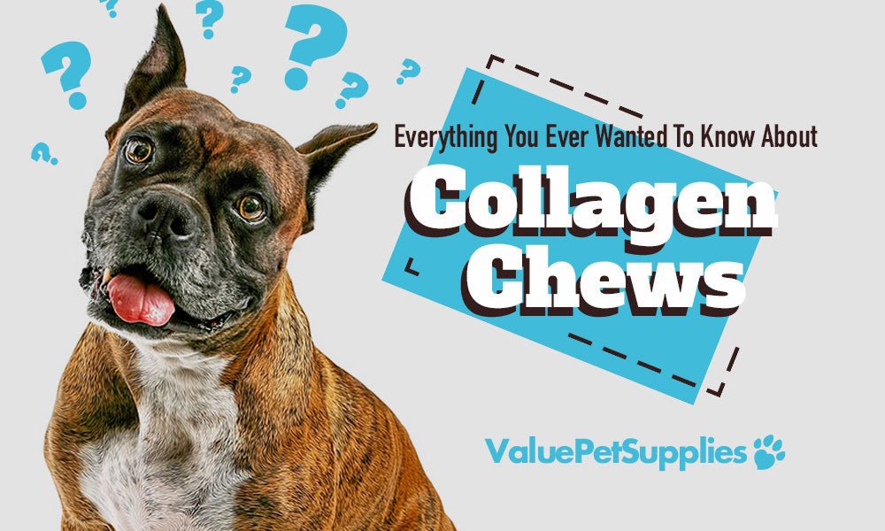 Collagen Chews For Dogs - Everything You Need To Know! - ValuePetSupplies