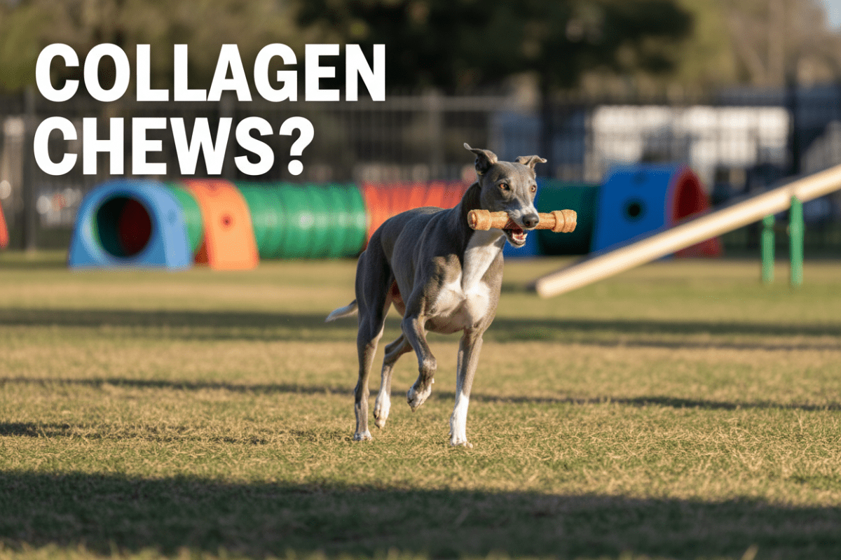 Collagen Chews – Frequently Asked Questions - ValuePetSupplies