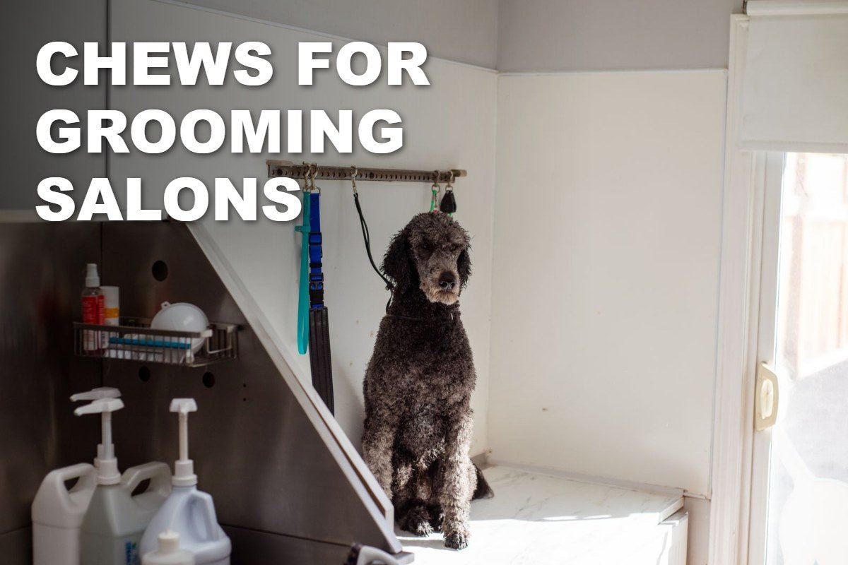 Dog Chews for Grooming Salons: An Easy Add-On Sale at Pickup - ValuePetSupplies
