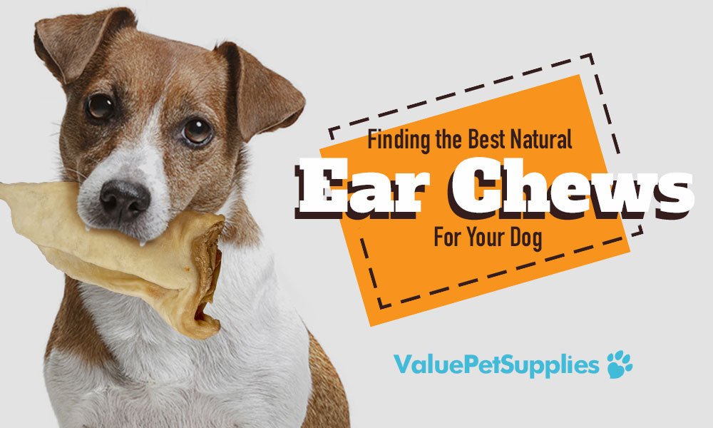 Finding the Best Natural Ear Chews for Your Dog - ValuePetSupplies