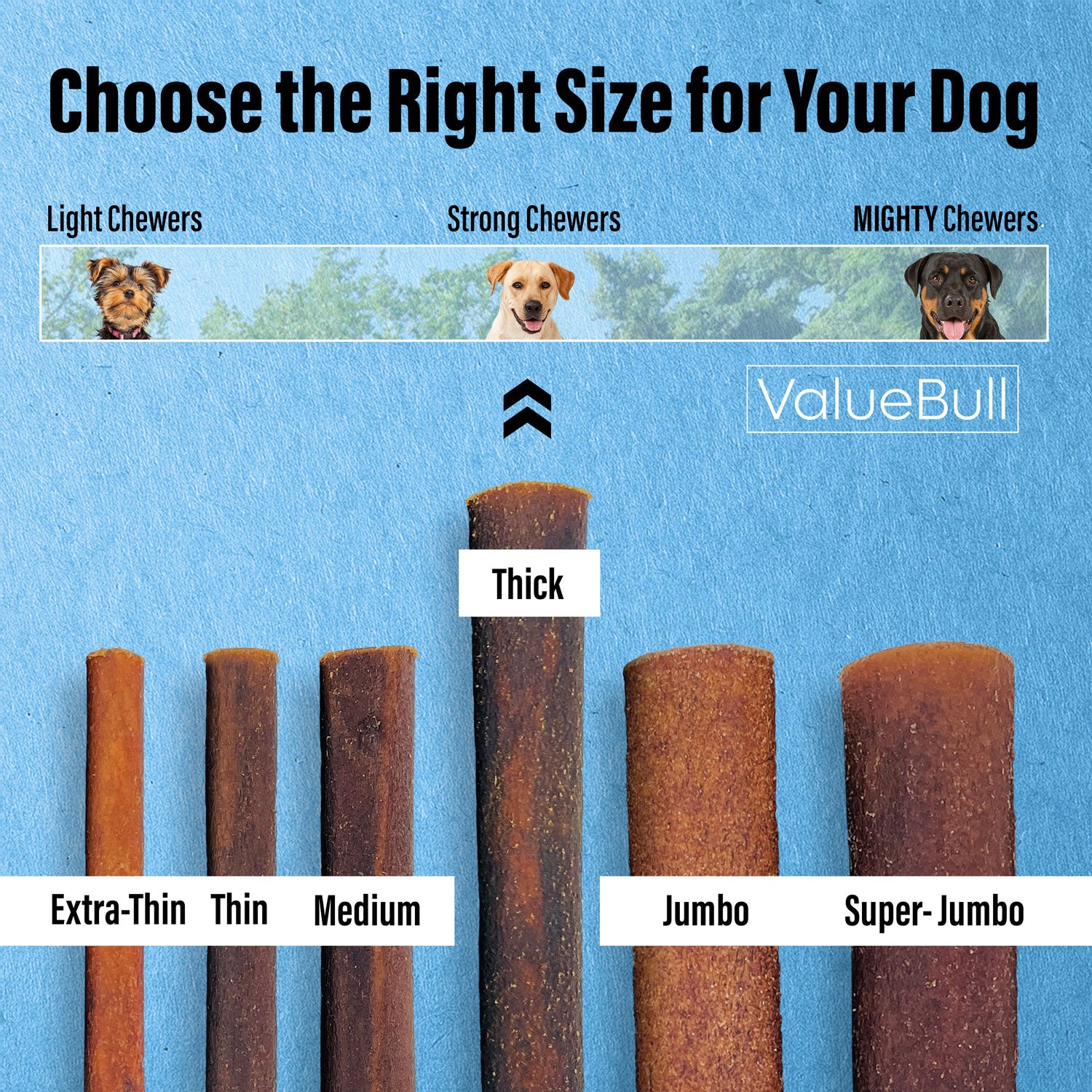 ValueBull Collagen Sticks for Dogs, 12 Inch Thick Chews, Natural Long-Lasting Dog Treats, 50 Count Bulk Pack - Thick - 50 Sticks
