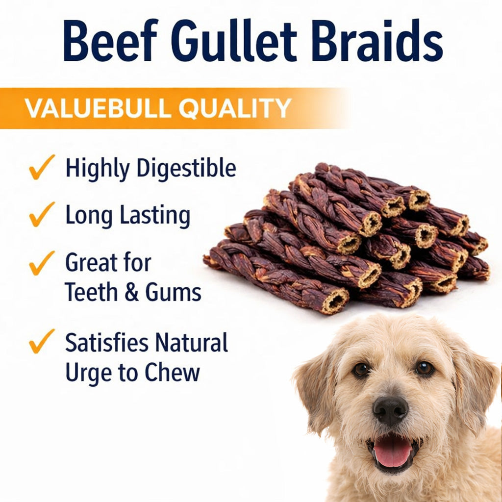 ValueBull Beef Jerky Gullet Braids for Dogs, Thick 6 Inch, 25 Count Bulk Pack - Gullet - 25 Braids