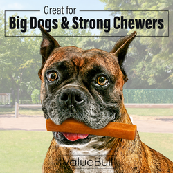 ValueBull Himalayan Yak Cheese Dog Chews, Pumpkin, Large, 5 Count - Pumpkin - 5 Bars