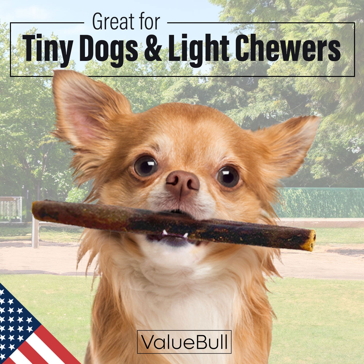 ValueBull USA Collagen Sticks for Small Dogs, 6 Inch Extra Thin Chews, Natural Dog Treats, 100 Count Bulk Pack