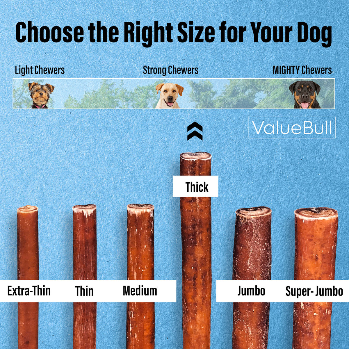 ValueBull Odor Free Bully Sticks for Large Dogs, Thick 6 Inch, 50 Count - 50