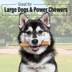 ValueBull Odor Free Bully Sticks for Large Dogs, Jumbo 6 Inch, 25 Count - 25