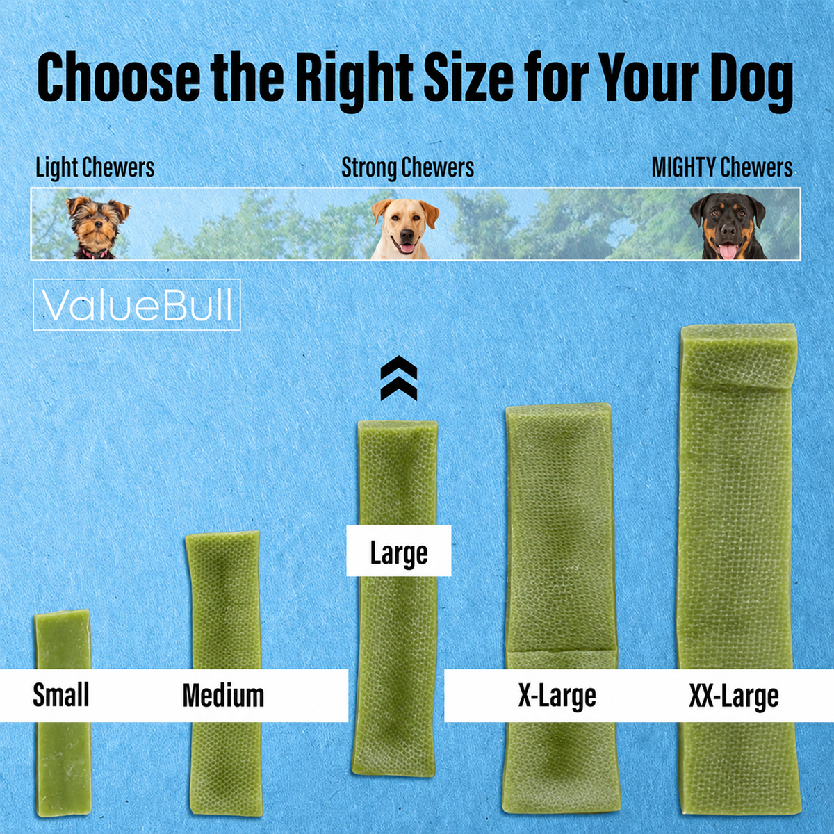 ValueBull Himalayan Yak Cheese Dog Chews, Mint, Large, 100 Count Wholesale Pack