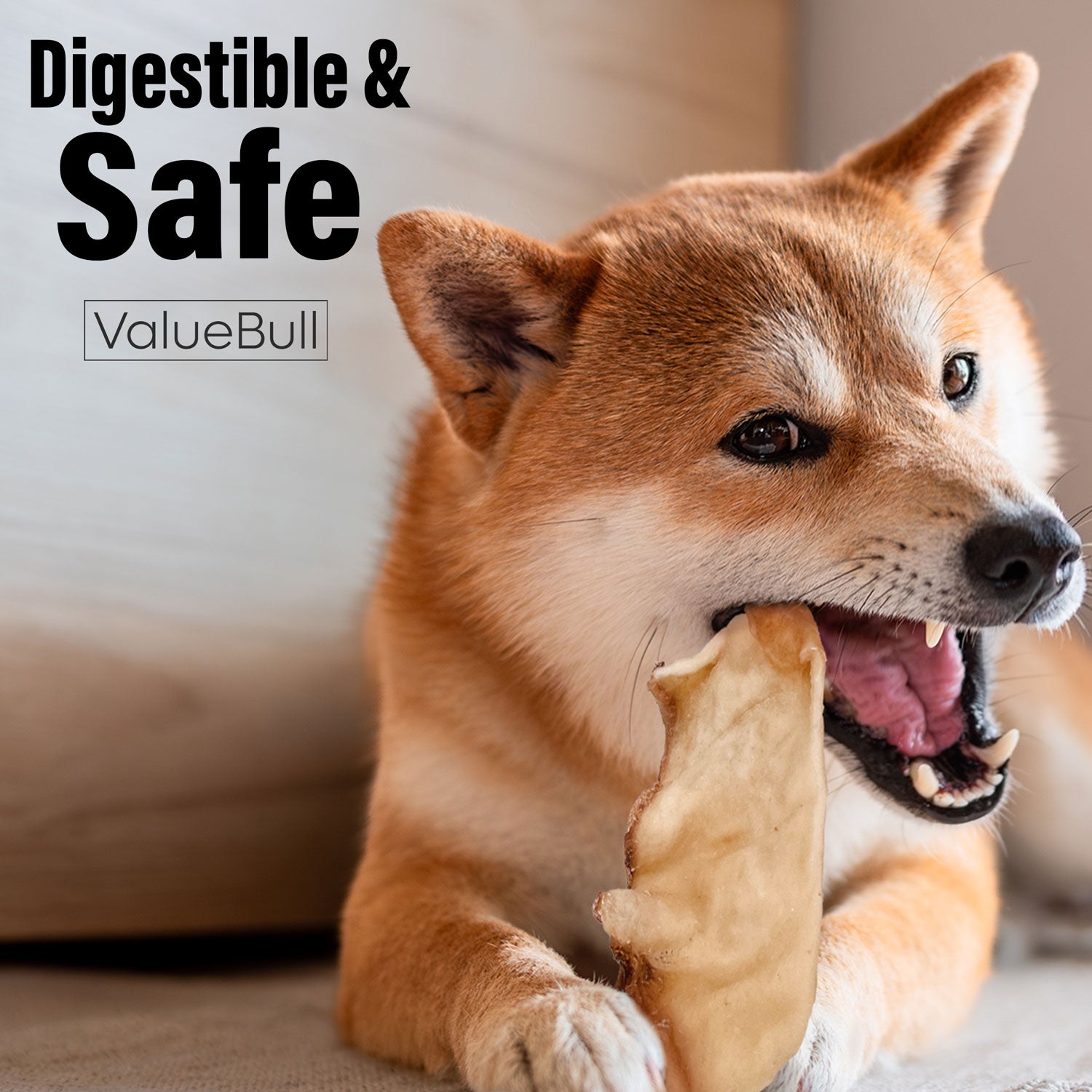 ValueBull USA Collagen Chips Dog Chews, Natural Long-Lasting Dog Treats, 5 Pound Bulk Pack - Natural - 5 Pound