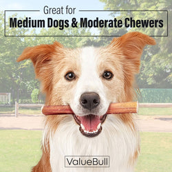ValueBull Bully Sticks for Dogs, Medium 6 Inch, 400 Count WHOLESALE PACK - ValuePetSupplies