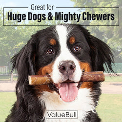 ValueBull Bully Sticks for Large Dogs, Super Jumbo 6 Inch, 50 Count - ValuePetSupplies