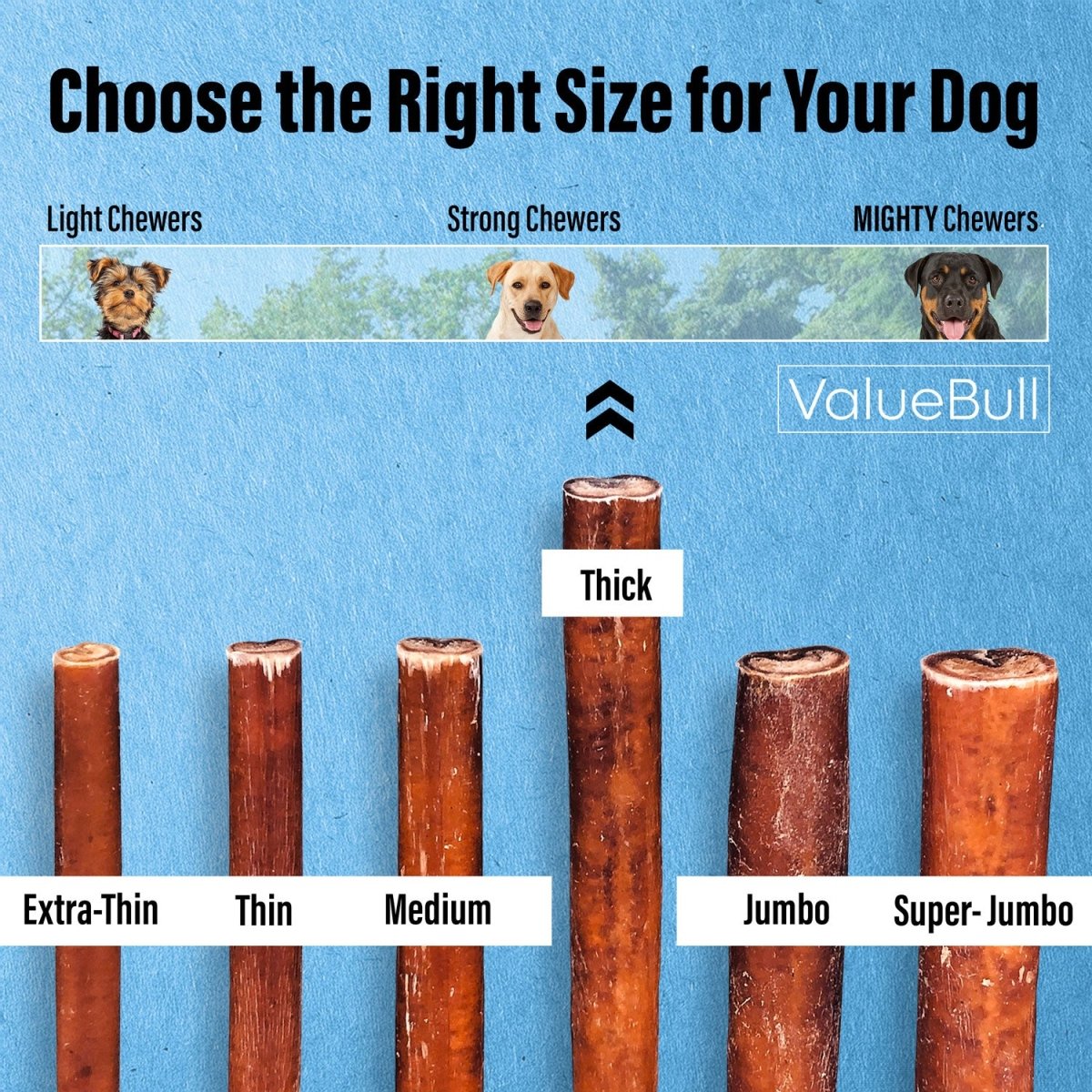 ValueBull Bully Sticks for Dogs, Thick 6 Inch, 50 Count - ValuePetSupplies