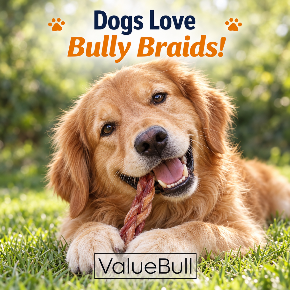 ValueBull Braided Bully Sticks for Small Dogs, Thin 6 Inch, 200 Count Wholesale Pack - ValuePetSupplies