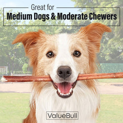 ValueBull Bully Sticks for Dogs, Medium 12 Inch, 25 Count - Medium - 25 Sticks
