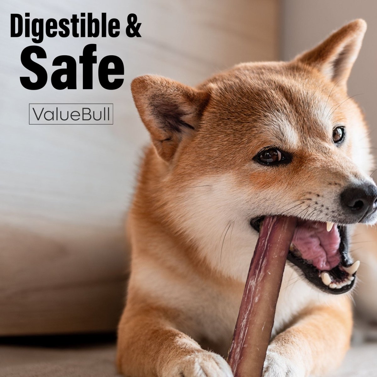ValueBull Bully Sticks for Small Dogs, Thin 12 Inch, 400 Count WHOLESALE PACK - ValuePetSupplies
