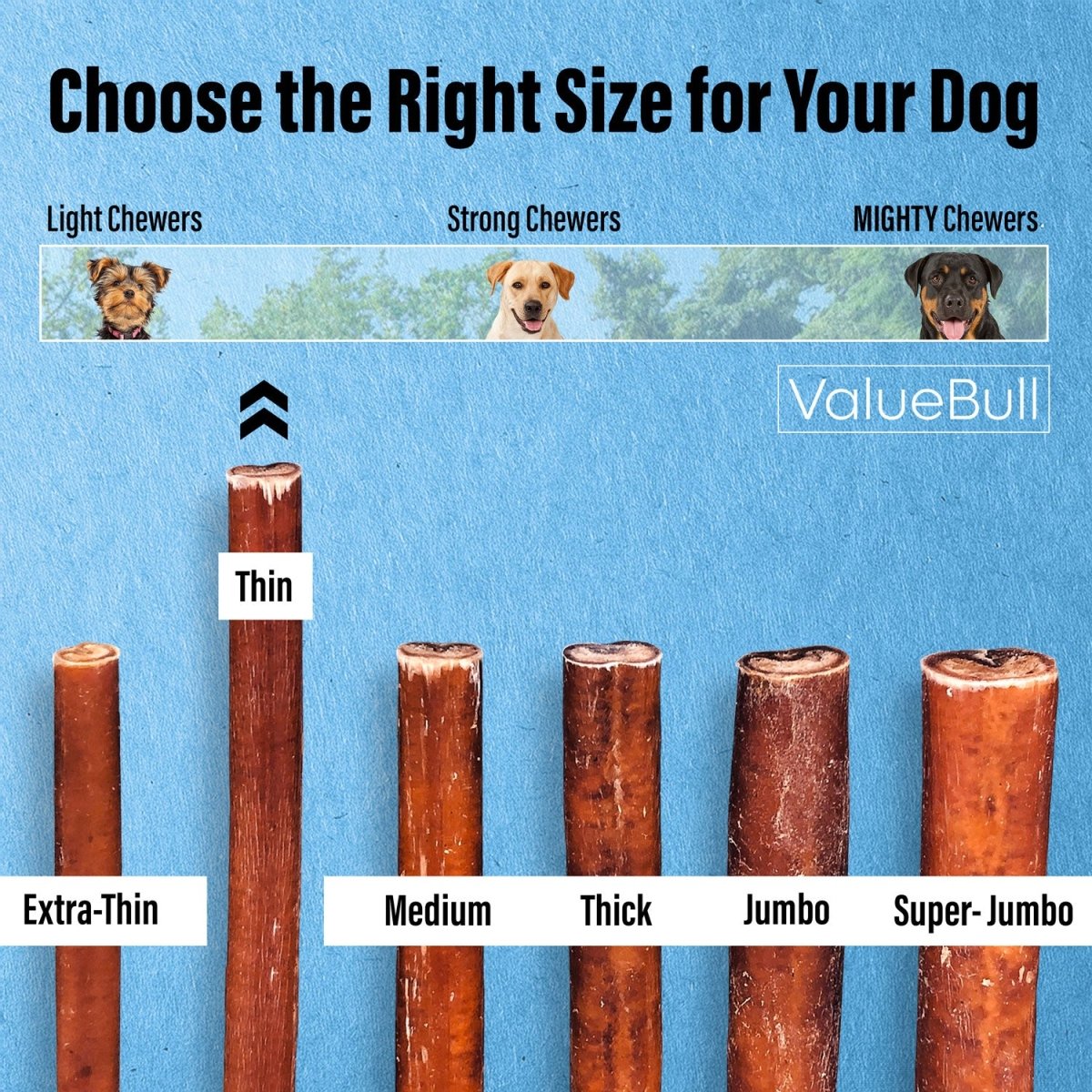ValueBull Bully Sticks for Small Dogs, Thin 12 Inch, 400 Count Wholesale Pack - ValuePetSupplies