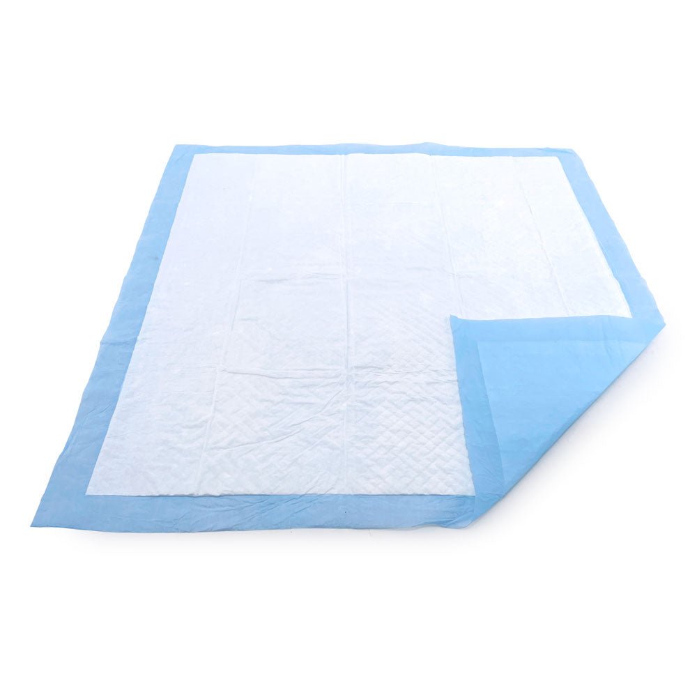 ValuePad USA Puppy Pads, Medium 22x23 Inch, 600 Count Bulk Pack - ValuePetSupplies