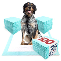 ValuePad USA Plus Puppy Pads, Large 28x30 Inch, 100 Count Bulk Pack - ValuePetSupplies