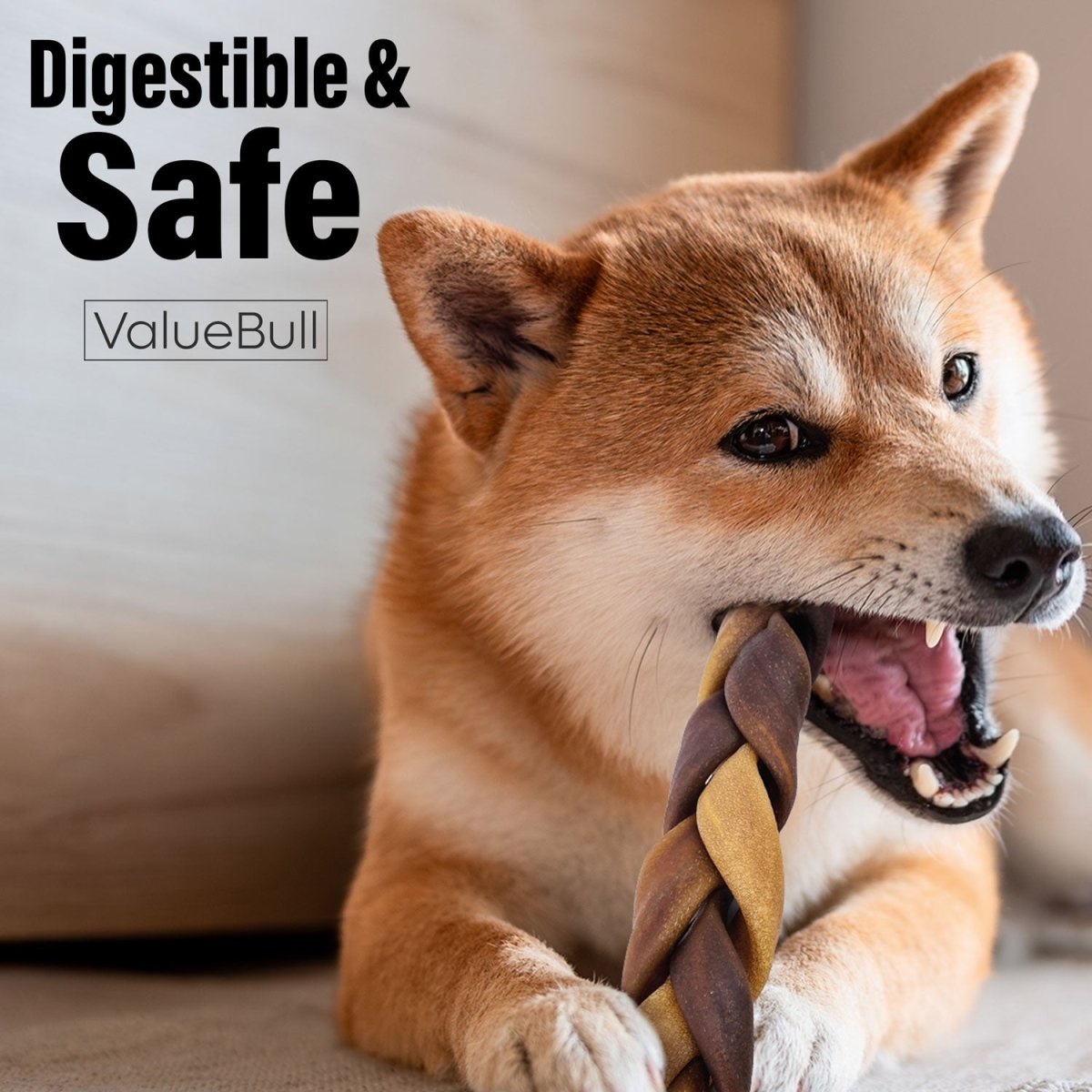 ValueBull Collagen Braided Sticks for Dogs, 6 Inch Medium Chews, Natural Long - Lasting Dog Treats, 10 Count - ValuePetSupplies