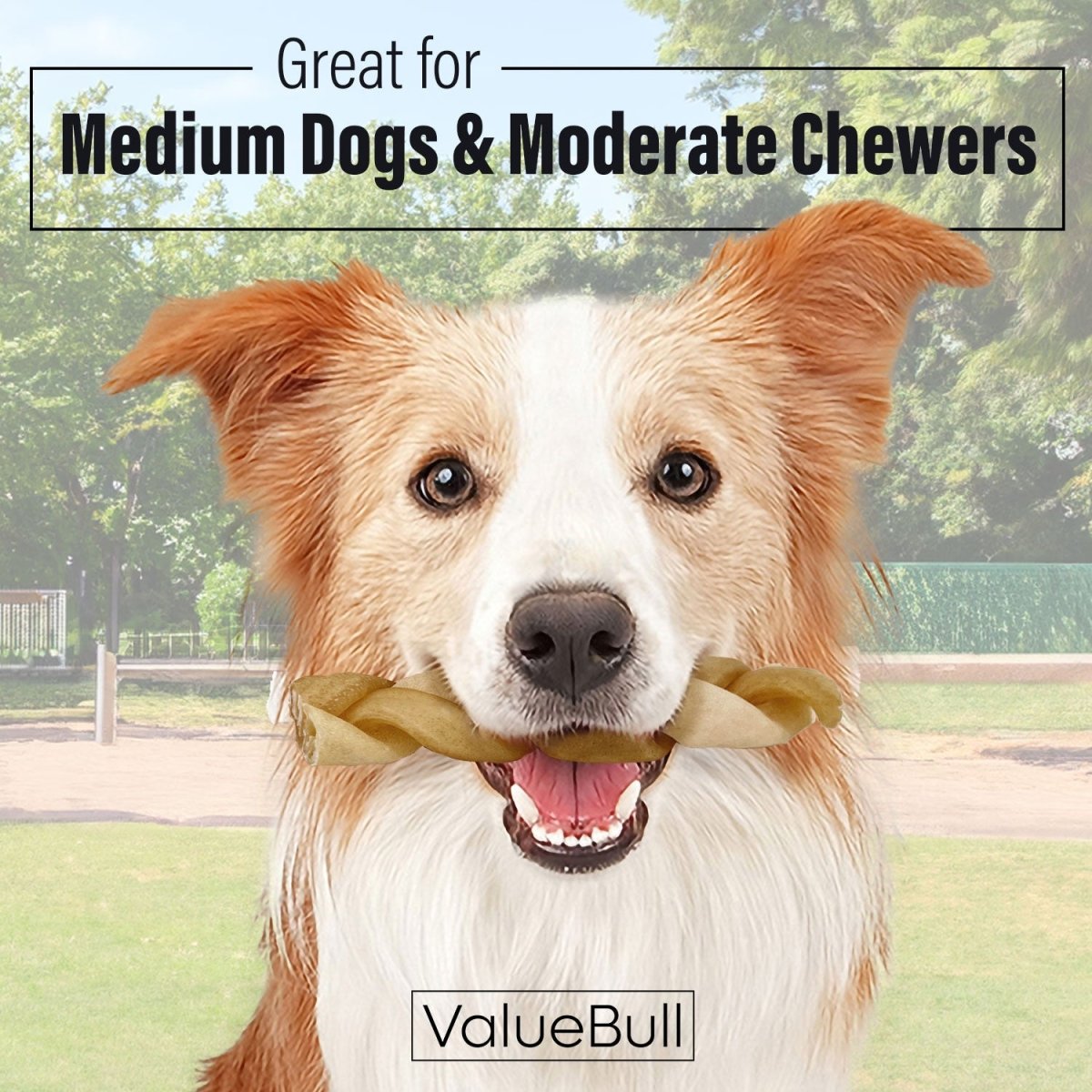 ValueBull Buffalo Collagen Braided Sticks For Dogs, Bully Sticks & Rawhide Alternative, Medium 6 Inch, 10 Count - ValuePetSupplies
