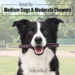 ValueBull Buffalo Collagen Sticks for Dogs, 6 Inch Medium Chews, Natural Long-Lasting Dog Treats, 100 Count Bulk Pack - Medium - 100 Sticks