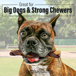 ValueBull Collagen Braided Sticks for Dogs, 6 Inch Thick Chews, Natural Long - Lasting Dog Treats, 100 Count Bulk Pack - ValuePetSupplies
