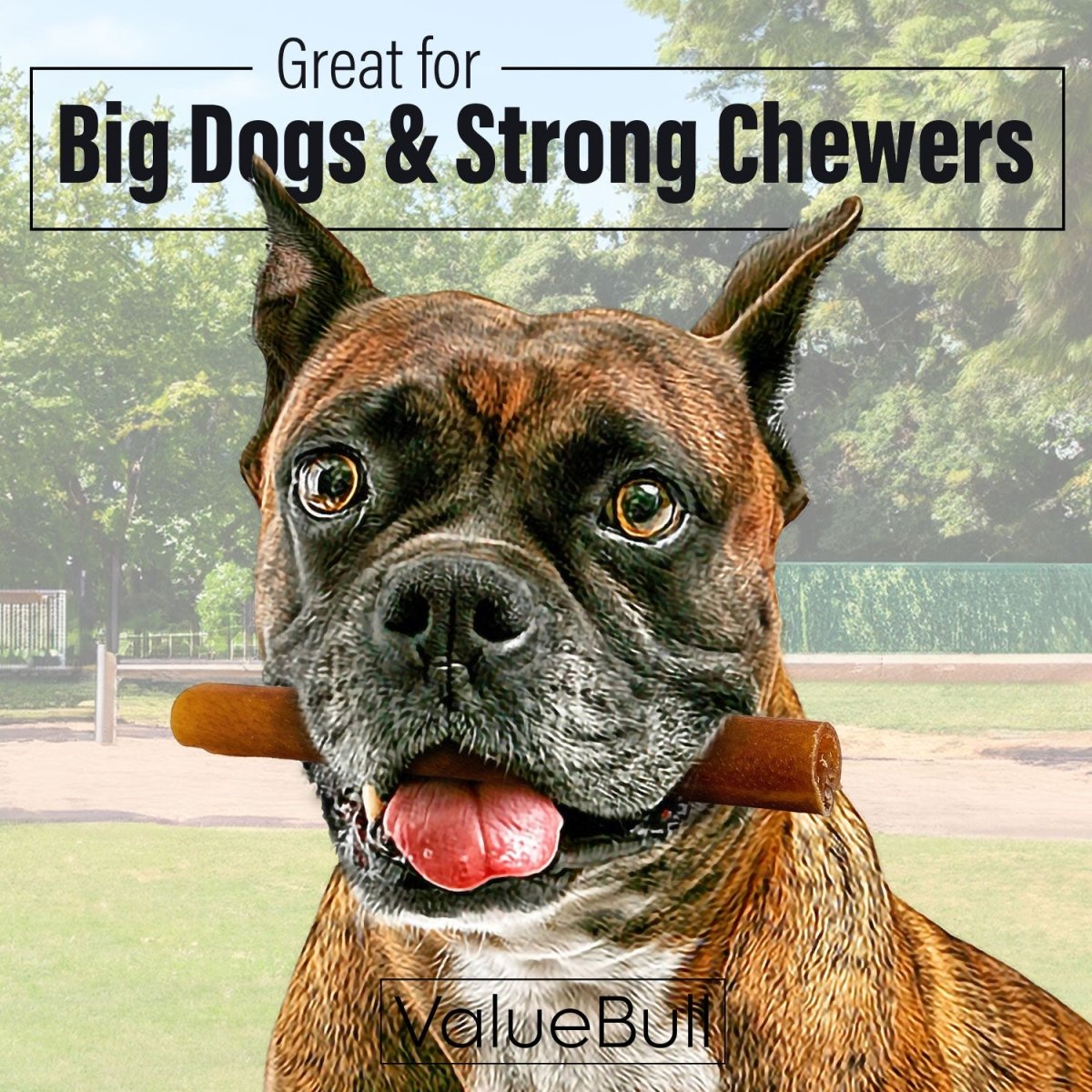 ValueBull Buffalo Collagen Sticks for Dogs, 6 Inch Thick Chews, Natural Long - Lasting Dog Treats, 10 Count - ValuePetSupplies