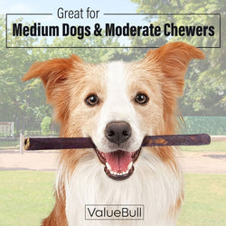 ValueBull Collagen Sticks For Dogs, Bully Sticks & Rawhide Alternative, Medium 12 Inch, 100 Count BULK PACK - ValuePetSupplies