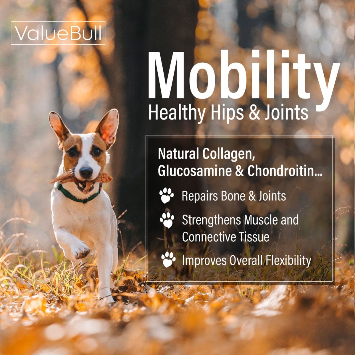 ValueBull Chicken Feet for Dogs, Large, 25 Count - ValuePetSupplies