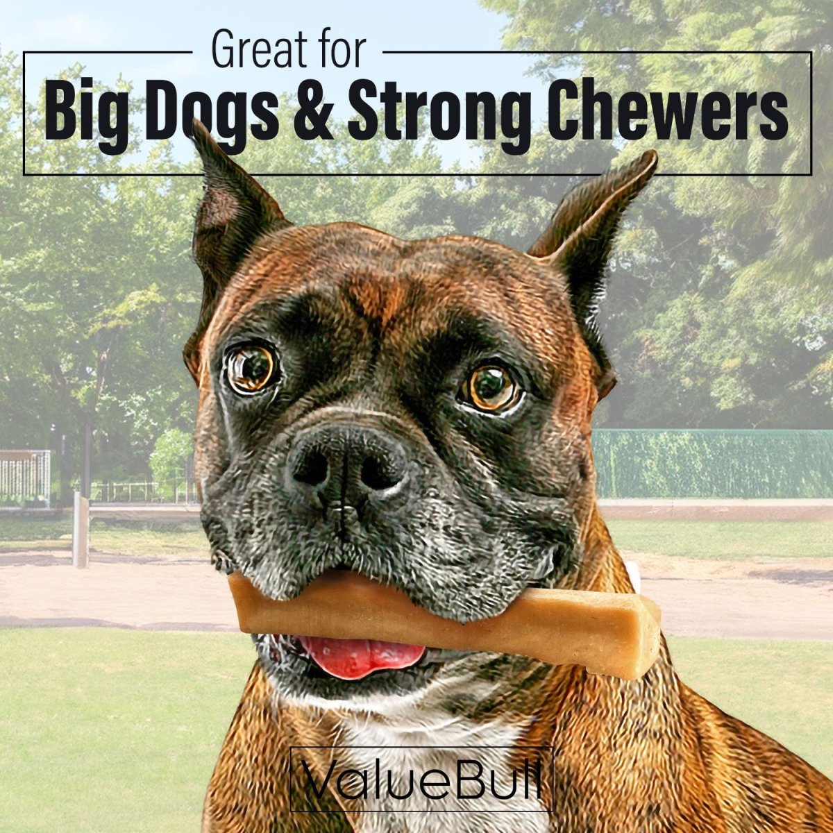 ValueBull Himalayan Yak Cheese Dog Chews, Large, 10 lb Bulk Pack - Large - 10 LB