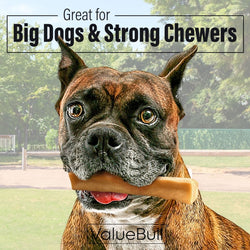 ValueBull Himalayan Yak Cheese Dog Chews, Large, 40 lb WHOLESALE PACK - ValuePetSupplies
