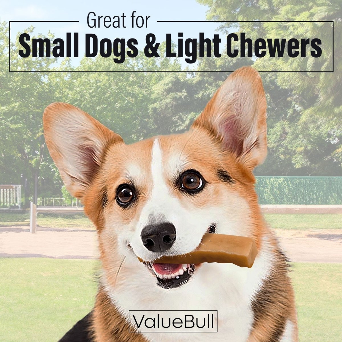 ValueBull Himalayan Yak Cheese Dog Chews, Small, 2 lb - Small - 2 LB