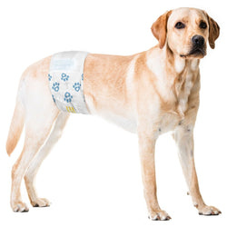 ValueWrap Male Wraps, Disposable Dog Diapers, 1 - Tab Large, Lavender, 24 Count - ValuePetSupplies