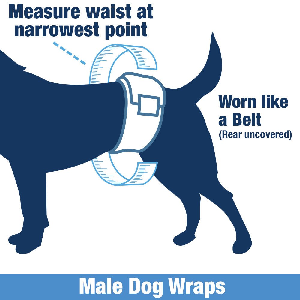 ValueWrap Male Wraps, Disposable Dog Diapers, Carbon, 1 - Tab Large, 48 Count - ValuePetSupplies