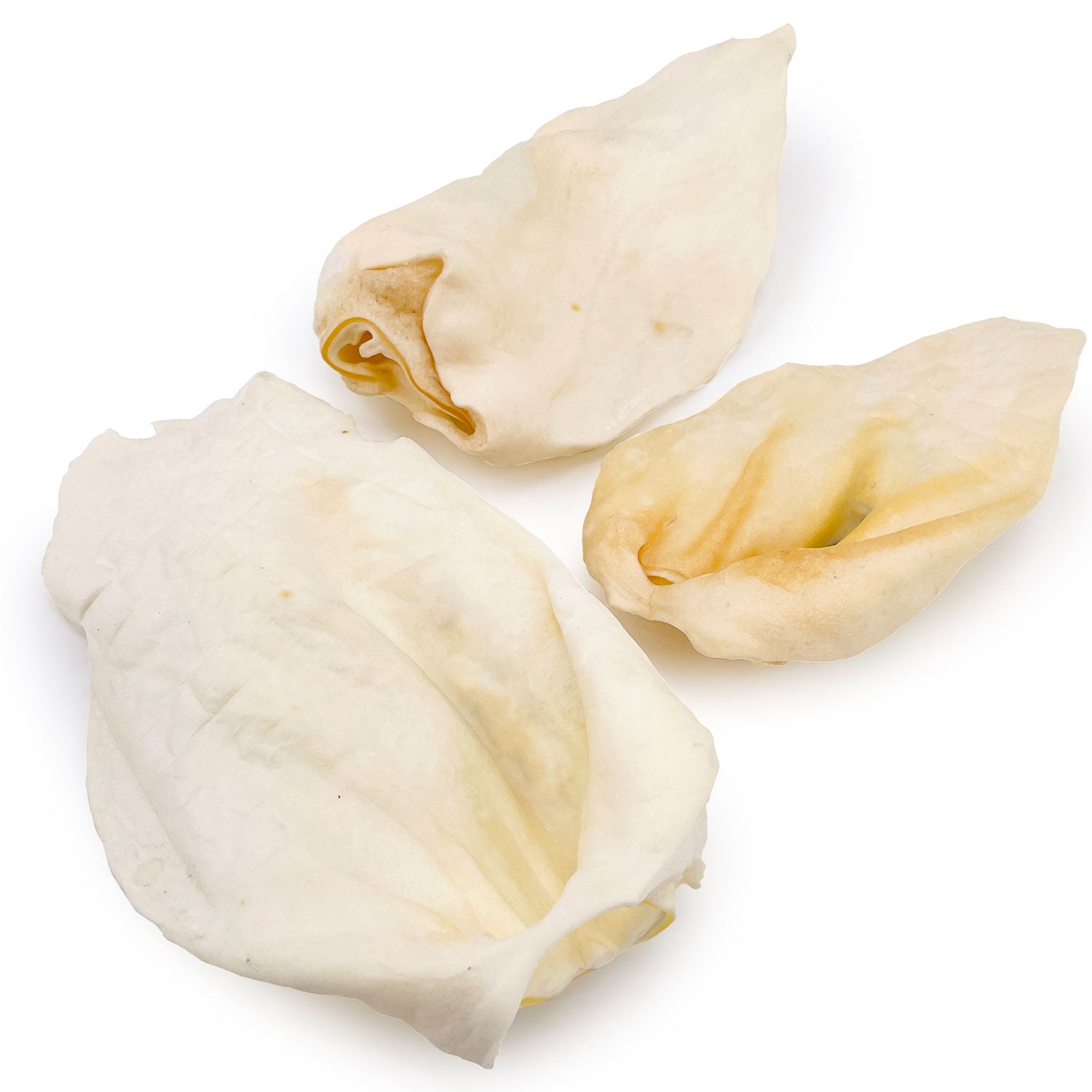 ValueBull Premium Cow Ears, Large, 100 Count Count BULK PACK - 100