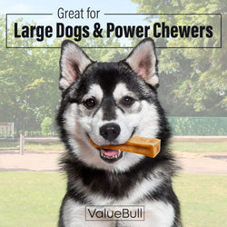 ValueBull Himalayan Yak Cheese Dog Chews, Extra Large, 50 ct Wholesale Pack - X-Large - 50 Bars