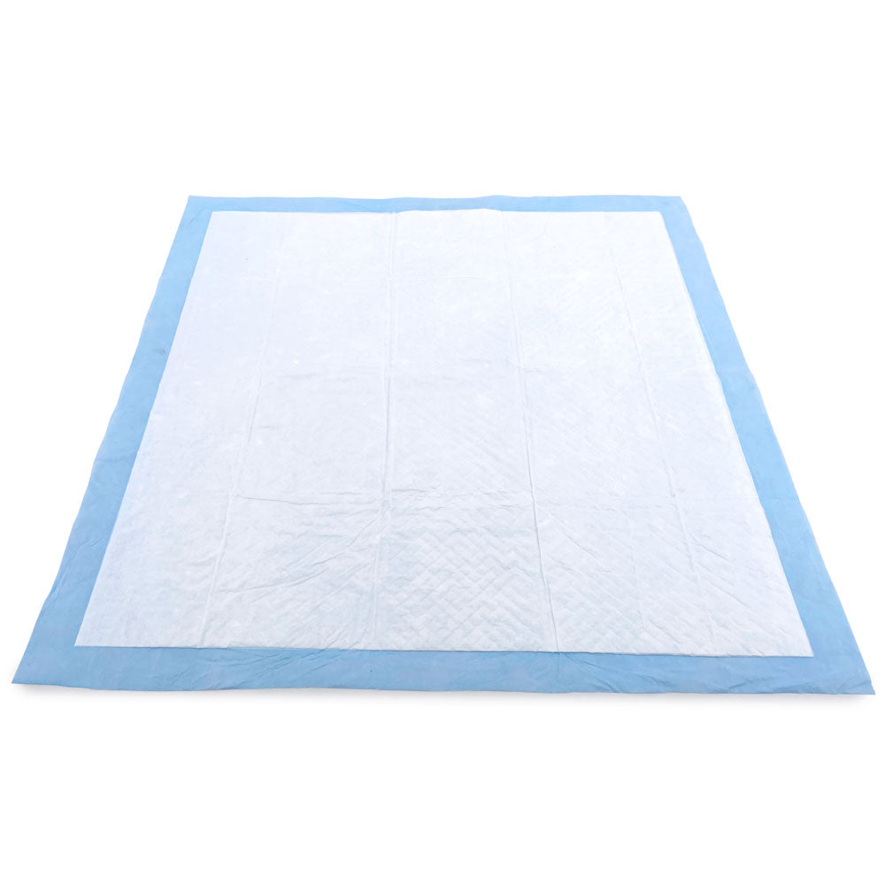 ValuePad USA Puppy Pads, Medium 22x23 Inch, 1,200 Count Wholesale Pack - 1200 Count