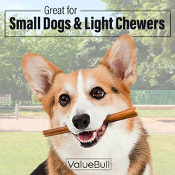 ValueBull Bully Sticks for Small Dogs, Thin 6 Inch, 100 Count Bulk Pack