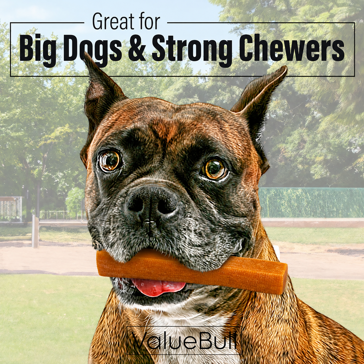ValueBull Himalayan Yak Cheese Dog Chews, Pumpkin, Large, 5 Count - Pumpkin - 5 Bars