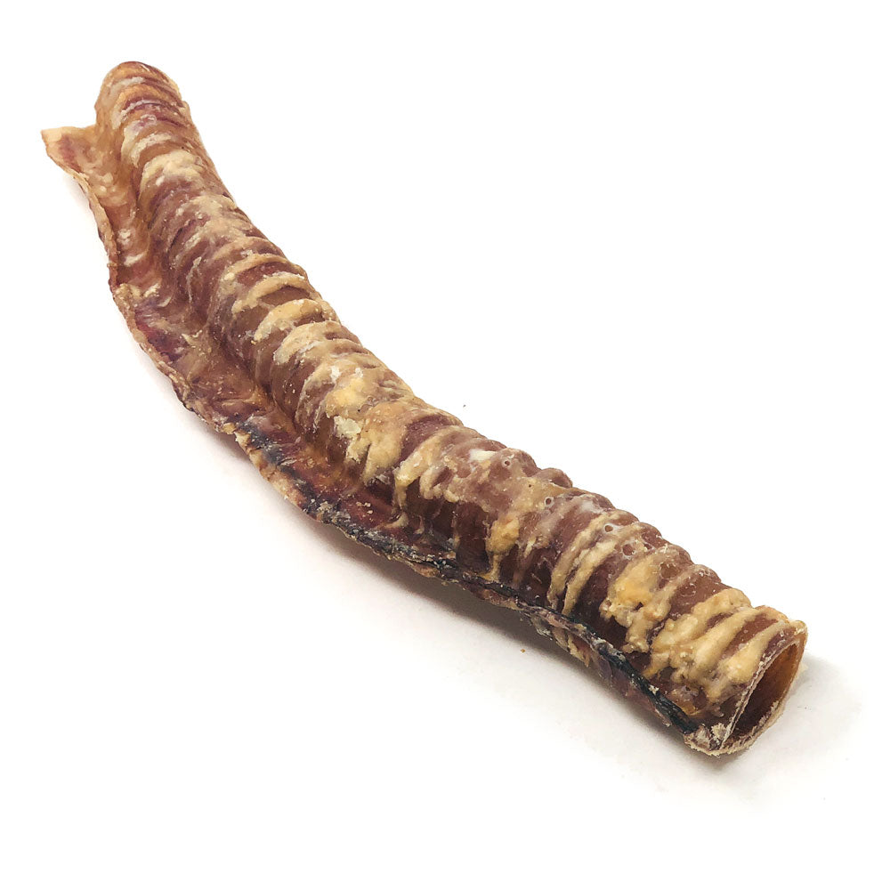 ValueBull Beef Trachea Dog Treats 12 Inch, 20 Pound BULK PACK