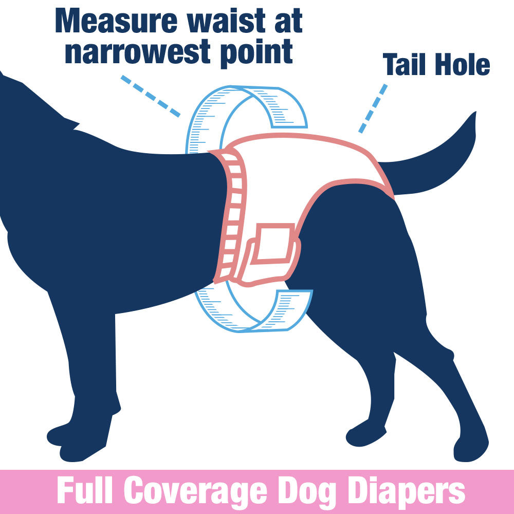 ValueFresh Female Dog Disposable Diapers, Small, 288 Count BULK PACK