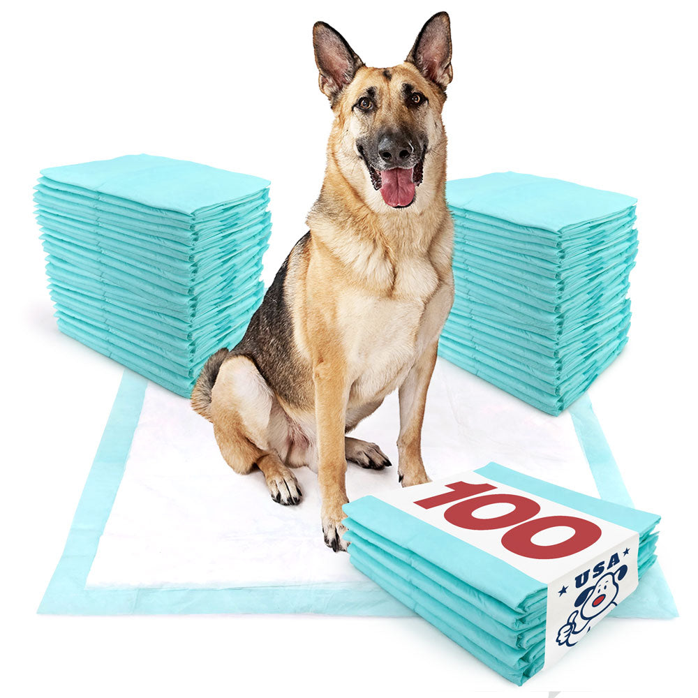 ValuePad USA Plus Puppy Pads, Jumbo 36x36 Inch, 100 Count BULK PACK