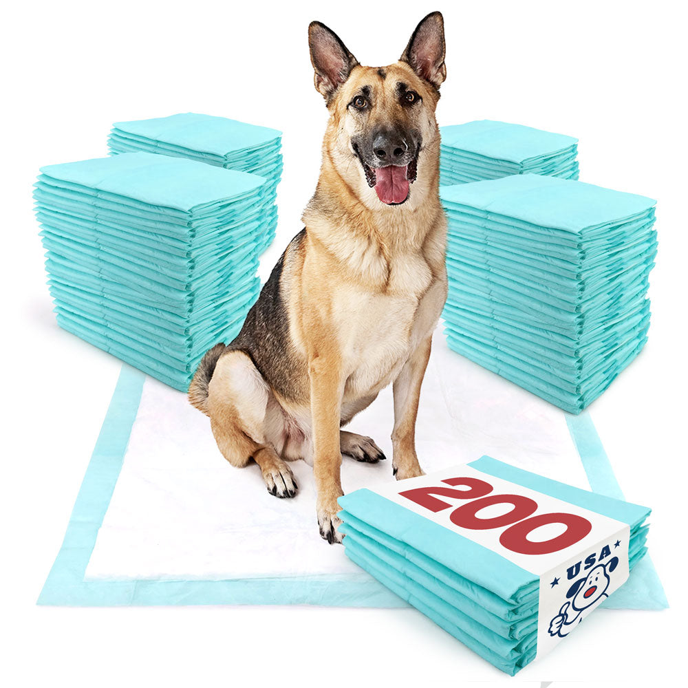 ValuePad USA Plus Puppy Pads, Jumbo 36x36 Inch, 200 Count BULK PACK