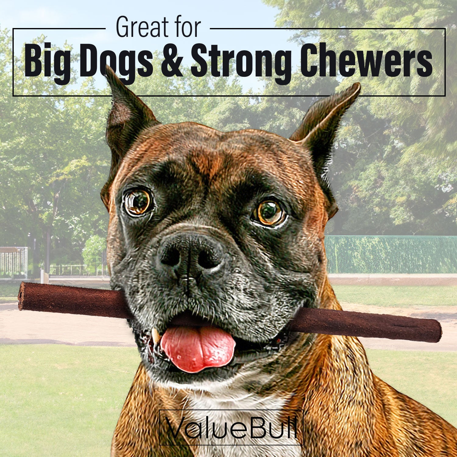 ValueBull Collagen Sticks, Beef Dog Chews, Thick 12 Inch, 25 Count