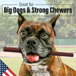 ValueBull USA Collagen Sticks, Premium Beef Dog Chews, Thick 12 Inch, 25 Count