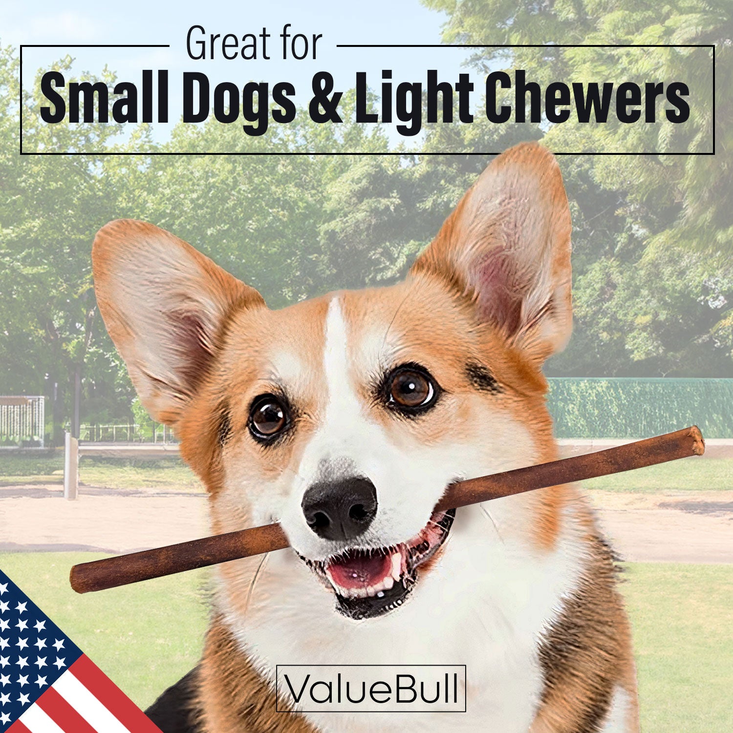 ValueBull USA Collagen Sticks, Premium Beef Small Dog Chews, Thin 12 Inch, 25 Count