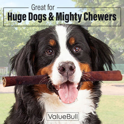 ValueBull Collagen Sticks, Beef Dog Chews, Super Jumbo 12 Inch, 200 Count BULK PACK