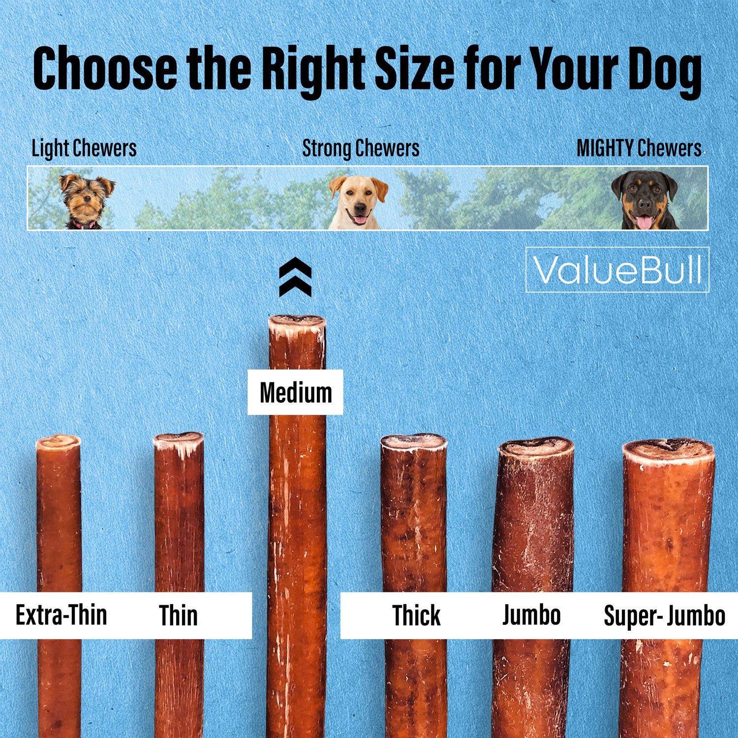 ValueBull Bully Sticks For Dogs, Medium 6 Inch, 3 Count (SAMPLE PACK)