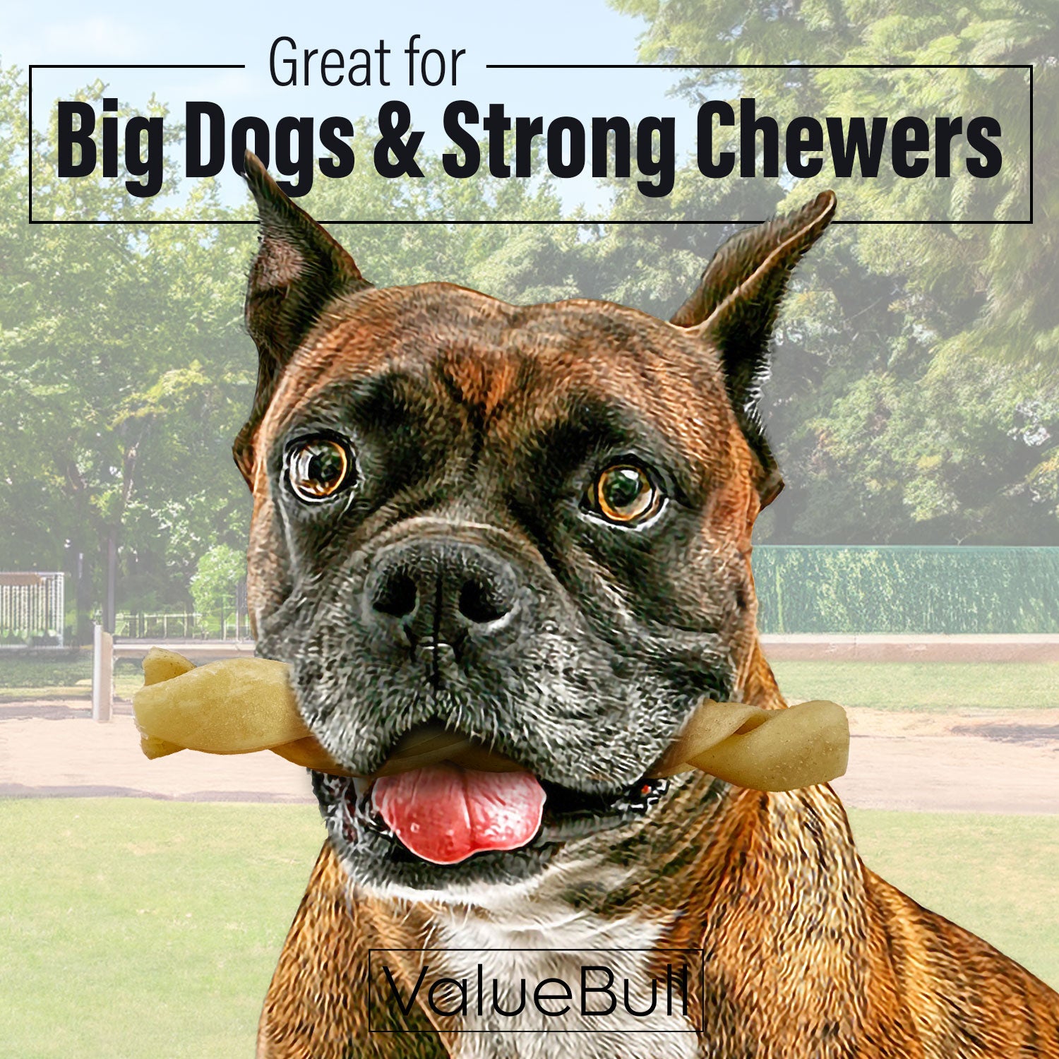 FREE GIFT - ValueBull Buffalo Collagen Braided Sticks For Dogs, Bully Sticks & Rawhide Alternative, Thick 6 Inch, 1 Count