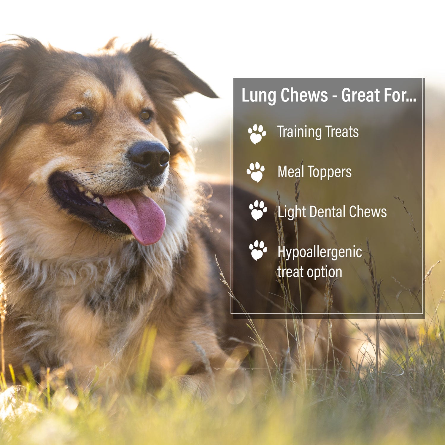 ValueBull Beef Lung Wafers, Premium 6 Pounds - Wafers - 6 Pound