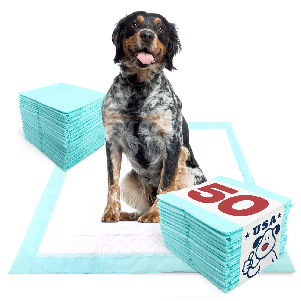 ValuePad USA Plus Puppy Pads, Large 28x30 Inch, 50 Count - 50 Count,Large